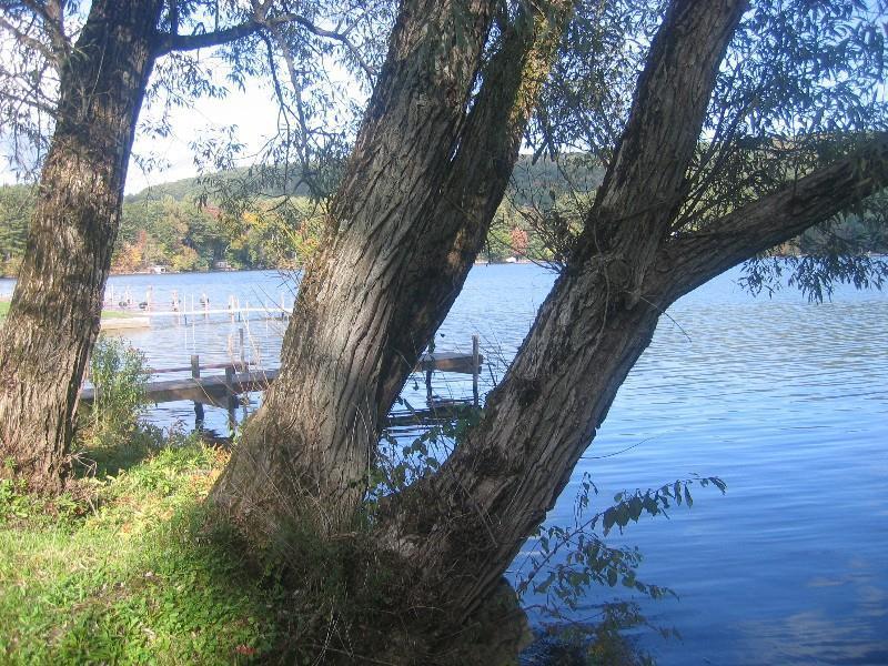 Red Carpet Inn On The Lake - Oneonta Exterior photo